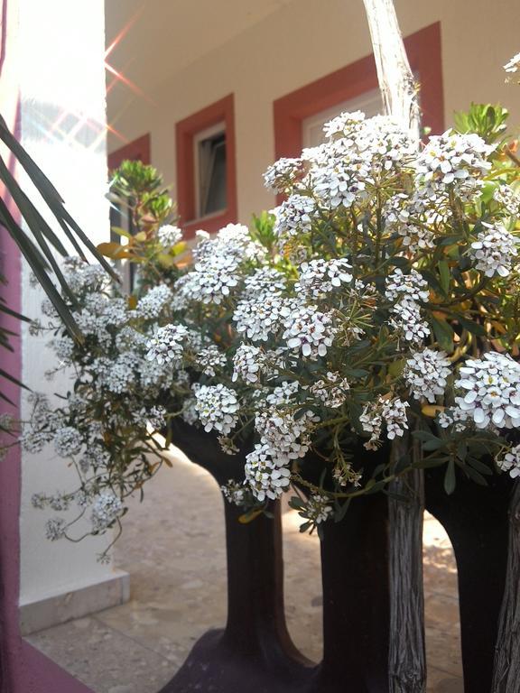 Apartments Zara الغرفة الصورة